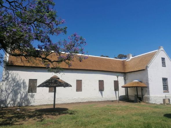 Projects Completed high-density straight-line thatched roof installation on a historic Cape Dutch building with white masonry walls