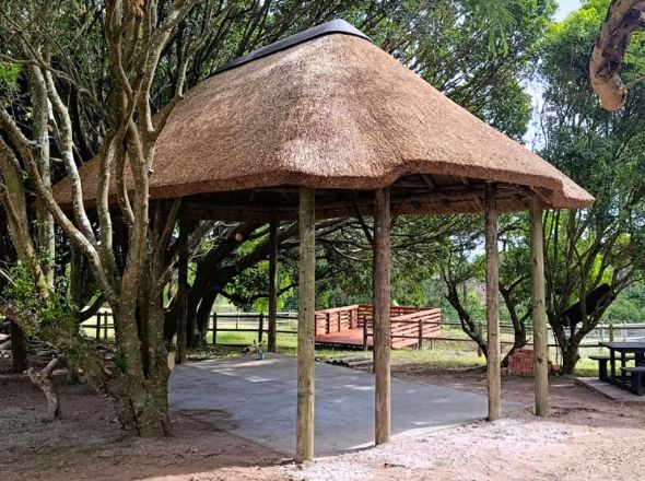 Projects A freestanding open-air garden lapa featuring structural wooden poles and a newly thatched roof surrounded by trees and greenery.
